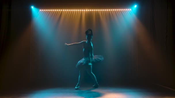 黒白鳥のシックなイメージの優雅なバレリーナのシルエット。古典バレエの要素のダンス。煙と魔法のネオン照明で暗いスタジオで撮影. — ストック動画