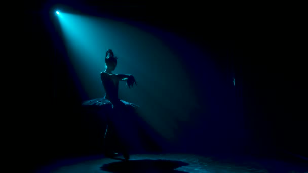 Σιλουέτα μιας χαριτωμένης μπαλαρίνας σε μια κομψή εικόνα ενός μαύρου κύκνου. Κλασική χορογραφία μπαλέτου. Πυροβολήθηκε σε σκοτεινό στούντιο με καπνό και φωτισμό νέον. Αργή κίνηση. — Αρχείο Βίντεο