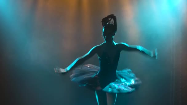 一个优雅的芭蕾舞演员在一个时髦的形象的黑天鹅的轮廓。舞蹈的元素古典芭蕾。在黑漆漆的工作室里被烟雾和魔法霓虹灯射中. — 图库视频影像