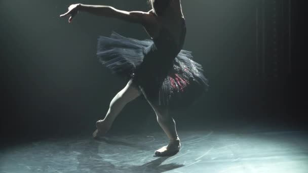 Silueta de una elegante bailarina en una elegante imagen de un cisne negro. Pas de ballet clásico. Grabado en un estudio oscuro con humo e iluminación de neón. Movimiento lento. — Vídeos de Stock