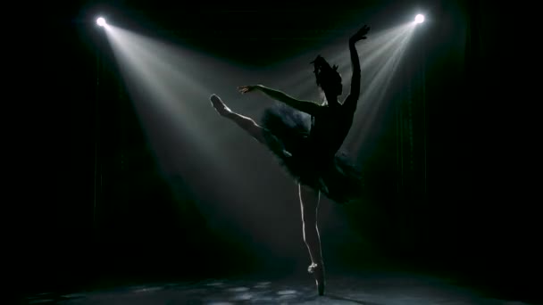Силуэт изящной балерины в шикарном образе черного лебедя. Танцы элементов классического балета. Съемка в темной студии с дымом и динамичным неоновым освещением. — стоковое видео