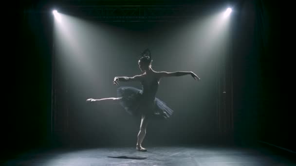 Silhueta de uma bailarina graciosa em uma imagem chique de um cisne preto. Dançando de elementos balé clássico. Tiro em um estúdio escuro com fumaça e iluminação de néon. — Vídeo de Stock