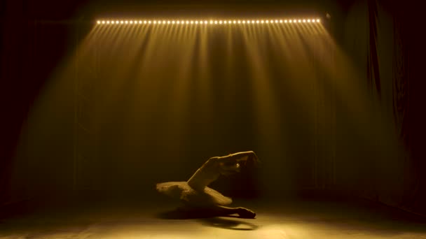 Anmutige Ballerina, die weißen Schwan tanzt. Tanz der Elemente des klassischen Balletts. Silhouette einer schönen schlanken Figur. Gedreht in einem dunklen Studio mit Rauch und gelbem Neonlicht. — Stockvideo