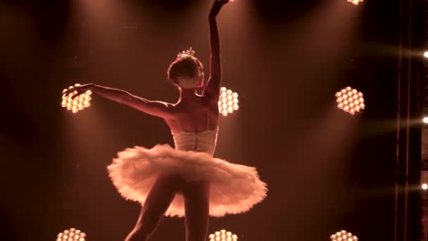 Egy kecses balerina sziluettje egy fehér hattyú elegáns képében. Klasszikus balett koreográfia. Egy sötét stúdióban lőtték le füsttel és neon világítással. Lassú mozgás.. — Stock videók