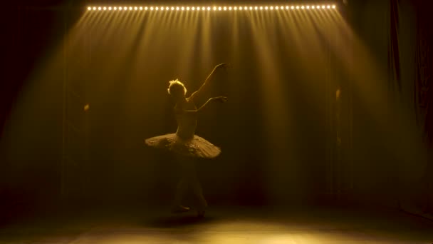 Graziosa ballerina che balla parte del cigno bianco. Ballando di elementi balletto classico. Silhouette di una bella figura sottile. Girato in uno studio buio con fumo e luci al neon gialle. Rallentatore. — Video Stock