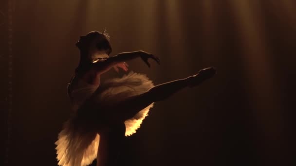 Silhouette of a graceful ballerina in a chic image of a white swan. Classical ballet choreography. Shot in a dark studio with smoke and neon lighting. Slow motion. — Stock Video