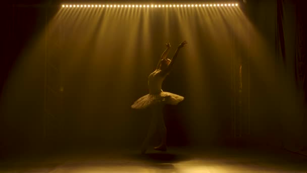 Anmutige Ballerina, die weißen Schwan tanzt. Tanz der Elemente des klassischen Balletts. Silhouette einer schönen schlanken Figur. Gedreht in einem dunklen Studio mit Rauch und gelbem Neonlicht. Zeitlupe. — Stockvideo