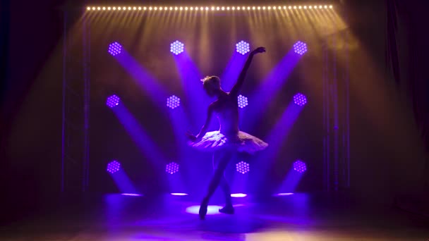 Coreografia classica di balletto che profuma di giovane bella ballerina graziosa in tutù bianco. Silhouette di una bella figura sottile. — Video Stock