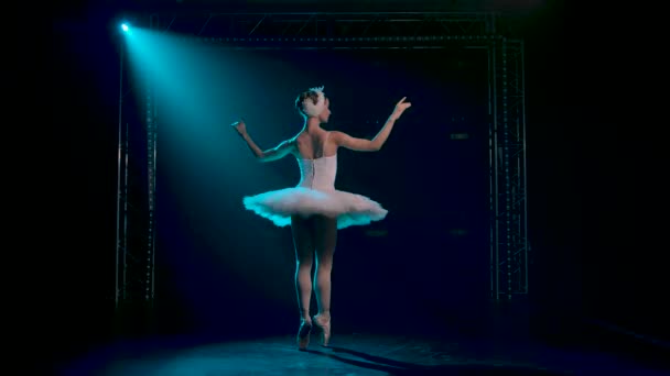 Gracieuze ballerina dansende witte zwaan deel. Dansen van elementen klassiek ballet. Neergeschoten in een donkere studio met rook en blauwe neon verlichting. — Stockvideo