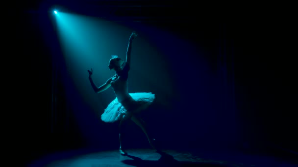 Изящная балерина танцует роль белого лебедя. Силуэт красивой тонкой фигуры. Съемка в темной студии с дымом и синим неоновым освещением. — стоковое видео