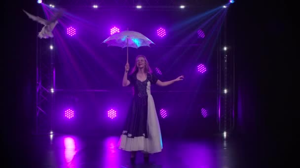 Fågeltrick. En kvinna roterar ett spets paraply där en vit tränad duva landar och går i en cirkel. Professionell djurutställning. Slow motion i studioljus. — Stockvideo