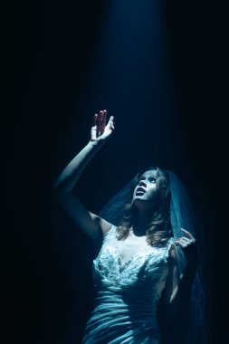 Karanlık bir sahnede tüyler ürpertici mavi bir ışık tarafından aydınlatılan şeffaf bir duvakla kaplı ölü bir gelin figürünün olduğu ürkütücü bir Cadılar Bayramı sahnesi. Hayalet gelin ışık huzmesine uzanıyor..