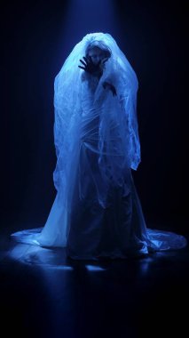 Karanlık bir sahnede tüyler ürpertici bir Cadılar Bayramı sahnesi, şeffaf bir duvakla kaplanmış ölü bir gelin figürü, ürkütücü bir mavi ışıkla aydınlatılmış. Hayalet gelin korku, gizem ve doğaüstü bir atmosferi temsil ediyor..