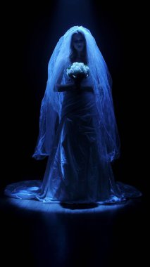 Karanlık bir sahnede tüyler ürpertici mavi bir ışık tarafından aydınlatılan şeffaf bir duvakla kaplanmış ölü bir gelin figürünün yer aldığı ürkütücü bir Cadılar Bayramı sahnesi. Hayalet gelin elinde bir buket tutuyor ve kameraya bakıyor..