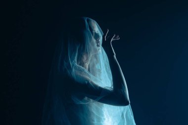 Karanlık bir sahnede tüyler ürpertici bir Cadılar Bayramı sahnesi, şeffaf bir duvakla kaplanmış ölü bir gelin figürü, ürkütücü bir mavi ışıkla aydınlatılmış. Gelinlik ve duvak giymiş bir hayaletin yan görüntüsü..