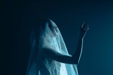 Karanlık bir sahnede tüyler ürpertici bir Cadılar Bayramı sahnesi, şeffaf bir duvakla kaplanmış ölü bir gelin figürü, ürkütücü bir mavi ışıkla aydınlatılmış. Gelinlik ve duvak giymiş bir hayaletin yan görüntüsü..