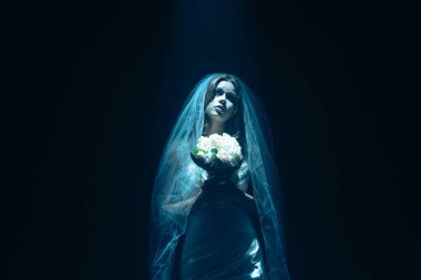 Karanlık bir sahnede tüyler ürpertici mavi bir ışık tarafından aydınlatılan şeffaf bir duvakla kaplanmış ölü bir gelin figürünün yer aldığı ürkütücü bir Cadılar Bayramı sahnesi. Hayalet gelin elinde bir buket tutuyor..