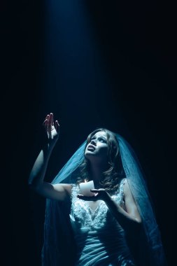 Karanlık bir sahnede tüyler ürpertici mavi bir ışık tarafından aydınlatılan şeffaf bir duvakla kaplı ölü bir gelin figürünün olduğu ürkütücü bir Cadılar Bayramı sahnesi. Hayalet gelin ışık huzmesine uzanıyor..