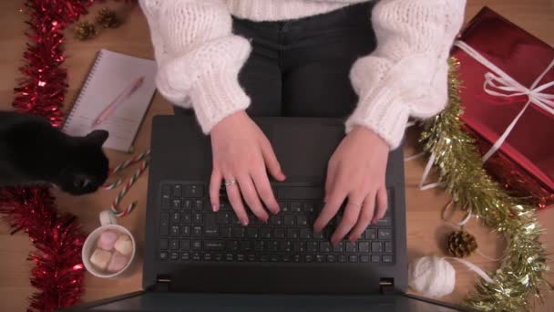 Osoba Pracująca Domu Laptopem Otoczeniu Świąteczno Zimowym Podczas Gdy Ciekawy — Wideo stockowe