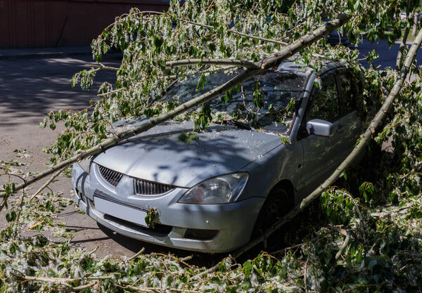 при сильном ветре брокко при сильном ветре разбитое дерево упало на машину на парковке Лотенское дерево упало на машину на парковке

