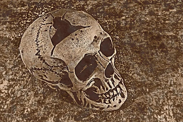 Ceramic Skull Close Textured Background — Stock Photo, Image