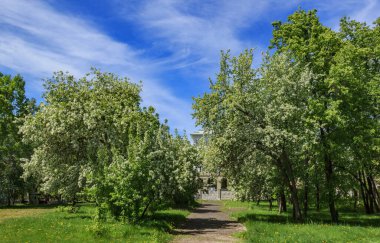 Araştırmalar Kishtym şehrinin etrafındaki tarihçilerle birlikte yürür ve mimari eserleri, yıkımları ve restorasyonlarını inceler.