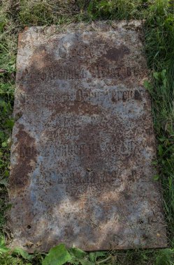 Mimari anıtları, yıkımları ve restorasyonlarını incelemek için Verkhnealsk şehrinin etrafındaki tarihçilerle birlikte araştırma yürüyüşü