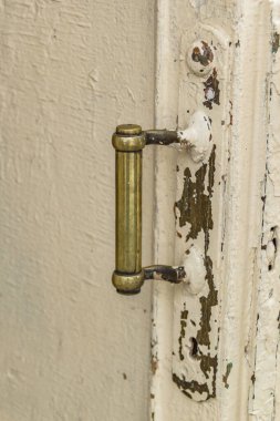 Mimari anıtları, yıkımları ve restorasyonlarını incelemek için Verkhnealsk şehrinin etrafındaki tarihçilerle birlikte araştırma yürüyüşü