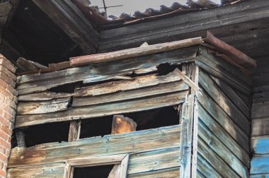 Mimari anıtları, yıkımları ve restorasyonlarını incelemek için Verkhnealsk şehrinin etrafındaki tarihçilerle birlikte araştırma yürüyüşü