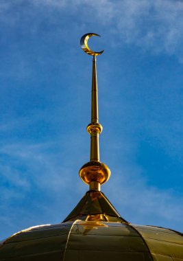 Araştırmalar Troitsk şehrinde tarihçilerle birlikte yürür ve mimari anıtları, yıkımlarını ve restorasyonlarını görür.