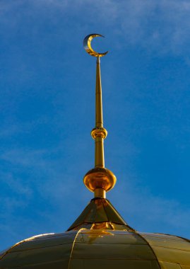 Araştırmalar Troitsk şehrinde tarihçilerle birlikte yürür ve mimari anıtları, yıkımlarını ve restorasyonlarını görür.