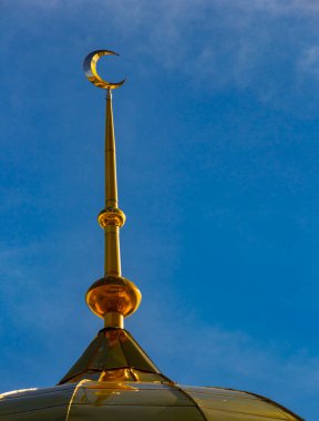 Araştırmalar Troitsk şehrinde tarihçilerle birlikte yürür ve mimari anıtları, yıkımlarını ve restorasyonlarını görür.