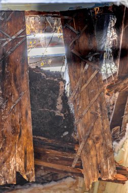 Araştırmalar Troitsk şehrinde tarihçilerle birlikte yürür ve mimari anıtları, yıkımlarını ve restorasyonlarını görür.