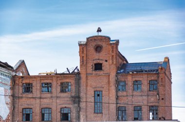 Araştırmalar Troitsk şehrinde tarihçilerle birlikte yürür ve mimari anıtları, yıkımlarını ve restorasyonlarını görür.