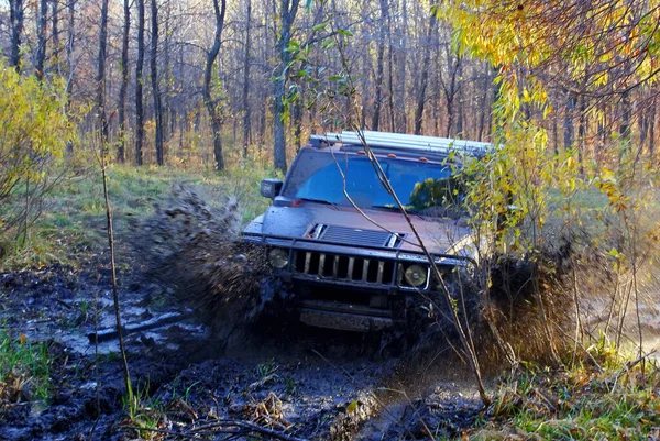 Тренування Позашляхових Аматорських Перегонів Приватних Автомобілях Швидкістю Бездоріжжі — стокове фото