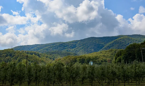 Piękne Pasmo Górskie Latem Przeciwko Błękitne Niebo Chmurami Rozmyte Skupienie — Zdjęcie stockowe