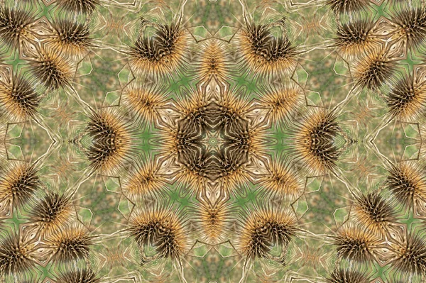 Blommig Bruna Och Gröna Mandala Bakgrund — Stockfoto
