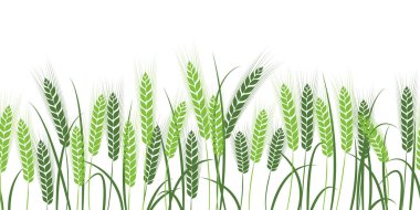 Vector silhouette of wheat. Wheat in the field on a white background clipart