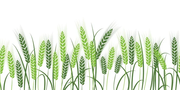 Vector silhouette of wheat. Wheat in the field on a white background — Stock Vector