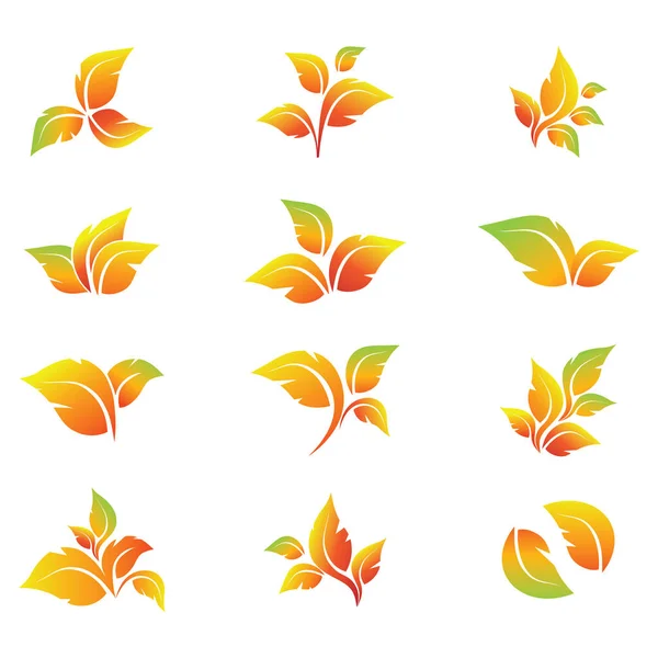 Zestaw jesiennych liści. Może być stosowany do tekstyliów, druków, artykułów papierniczych, zaproszeń i innych. — Wektor stockowy