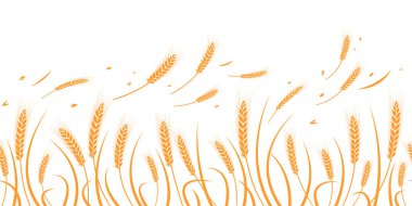 Buğday silueti. Siluet. Beyaz arka planda tarlada buğday.