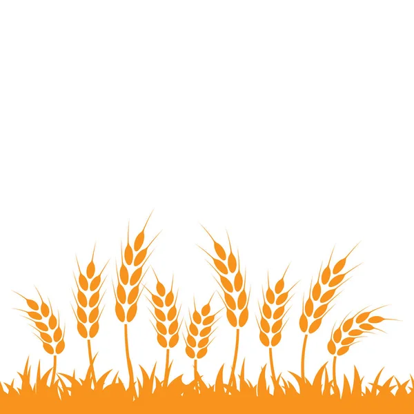 Vector Silhouette Wheat Silhouette Wheat Field White Background — Stock Vector