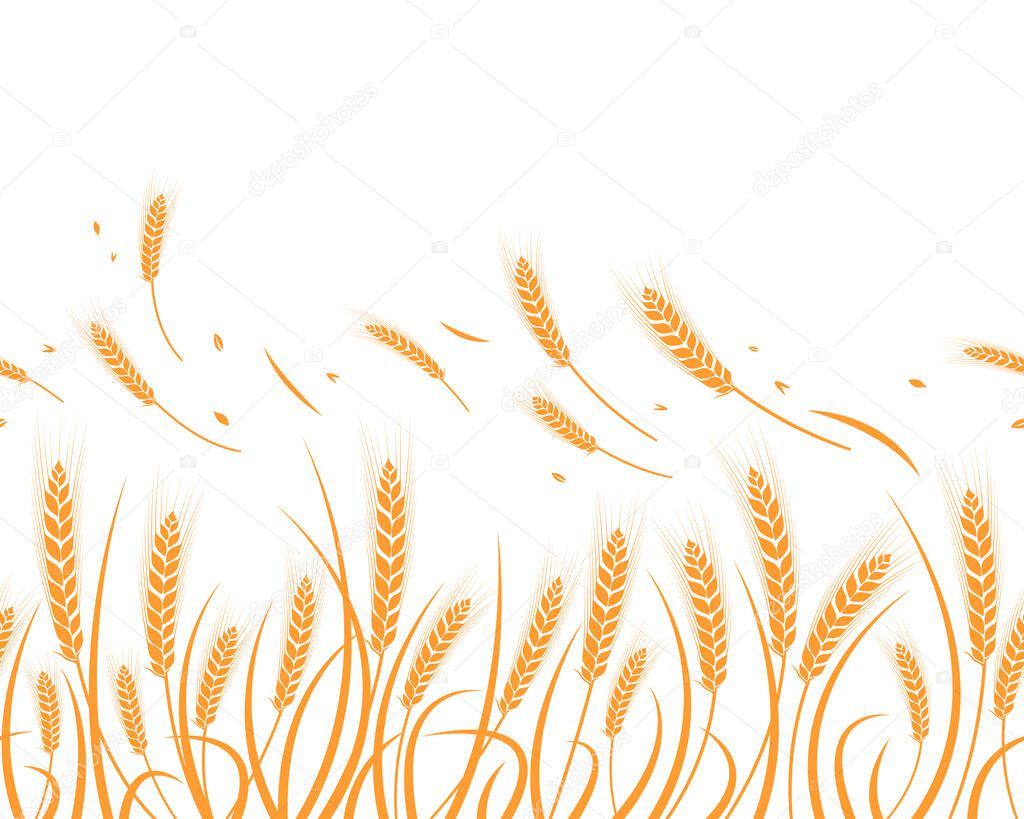 Vector silhouette of wheat. Silhouette. Wheat in the field on a white background.