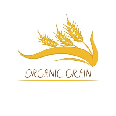 Etiket buğday, çavdar, mısır, arpa, beyaz arkaplanda bir simge - vektör illüstrasyonu.