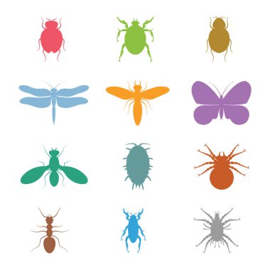 Renkli vektör böcekler koleksiyonu. Biyoloji, tabii ki, beyaz arka planda izole edilmiş. Vektör simgeleri. Uçan ve sürünen böcekler mikro görüş vektörü. Böcekler silueti.