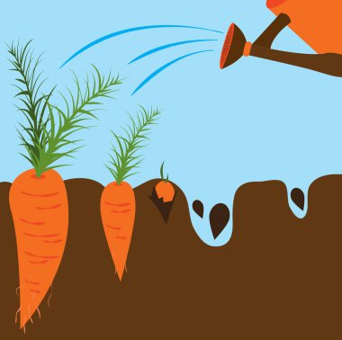 Bitki yetiştirme aşamaları. Zaman çizelgesi Infographic tasarımı. Vektör illüstrasyonu