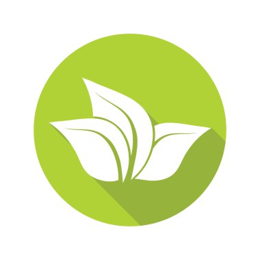 Beyaz arka planda yeşil yapraklar, organik simge. Vektör illüstrasyonu.