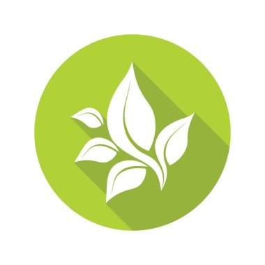 Beyaz arka planda yeşil yapraklar, organik simge. Vektör illüstrasyonu.