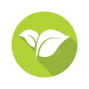 Beyaz arka planda yeşil yapraklar, organik simge. Vektör illüstrasyonu.