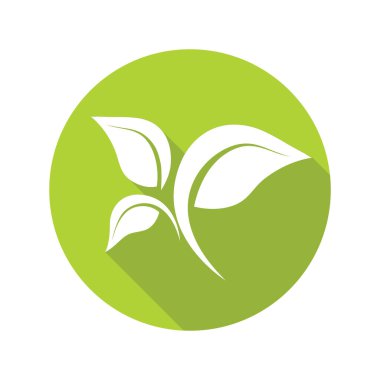 Beyaz arka planda yeşil yapraklar, organik simge. Vektör illüstrasyonu.